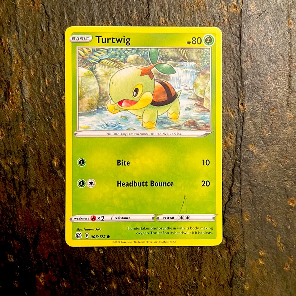 Turtwig Basic- HP80